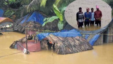 Andhra News | Incessant rains cause devastation in 3 districts