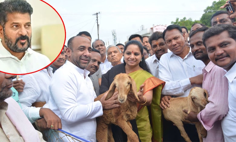 Telangana News | CM Revanth alleges Rs 700 Cr Corruption in Sheep Distribution Scheme during BRS Regime