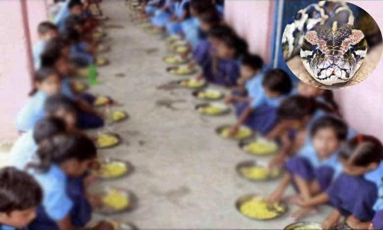 Dead snake found in mid-day meal packet, claim parents; probe launched