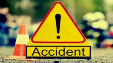 Telangana News | Boy killed in road accident