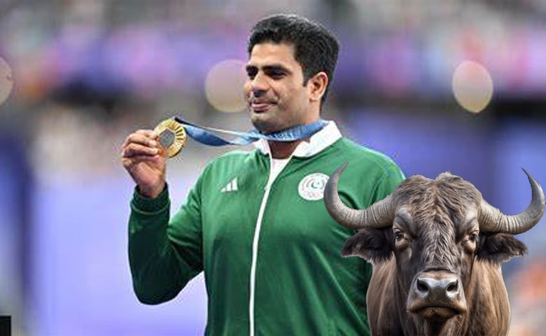 Pak javelin thrower Nadeem's father-in-law to gift him a buffalo