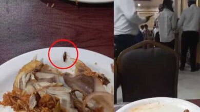 Hyderabad News | Cockroach Found in Biryani at Meridian Hotel, Raises Concerns Over Hygiene: Video