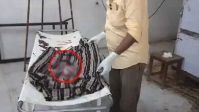 Telangana News | Stray Dogs eaten Newborn at Warangal Hospital : Video