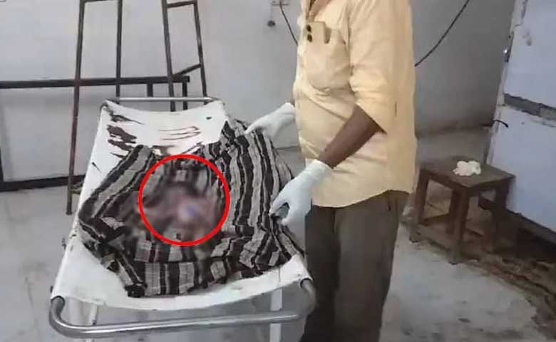 Telangana News | Stray Dogs eaten Newborn at Warangal Hospital : Video