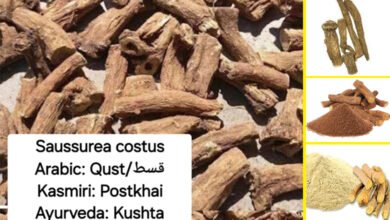 Scientific Identification of Oud and Qust from Prophetic Medicine