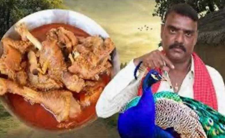 Telangana News | Stirring Trouble: YouTuber's Peacock Curry Video Draws Fire from Animal Rights Activists