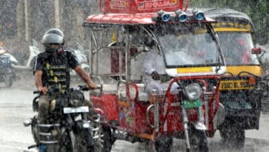 Heavy rain wreaks havoc in Rajasthan, schools shut in several districts