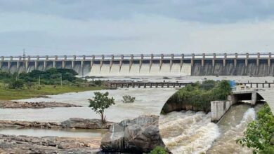 Andhra News | minister, experts visit Tungabhadra dam