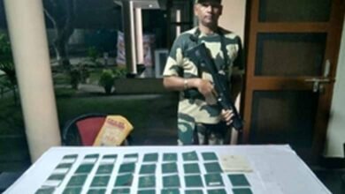 43 Bangladeshi passports seized along Indo-B’desh border: BSF