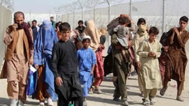 Over 30,000 Afghan refugees return home in one week