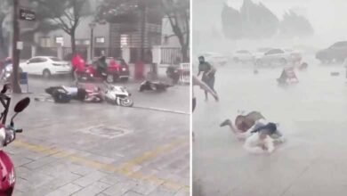 Typhoon Yagi Wreaks Havoc in China, Leaving Many Regions Devastated