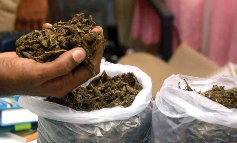 IIT Student and IT Employee Arrested for Marijuana Trafficking in Hyderabad