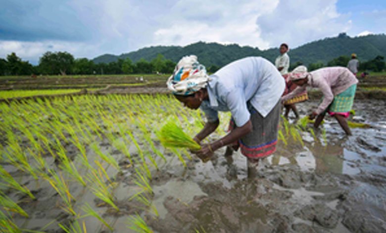 India implementing world’s largest food-based safety net programmes: Minister