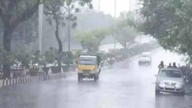 Light to moderate rain likely in AP & Yanam in next 7 days: