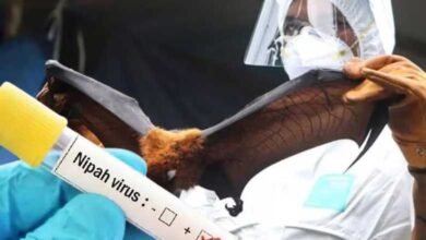 A postgraduate student has died due to the Nipah virus in the Naduth region of Thiruvalli panchayat, located in Kerala's Malappuram district. This was confirmed by the state's health minister, Veena George, on Sunday.