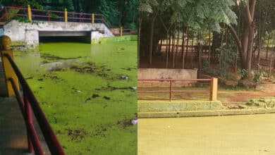 Hyderabad’s Oldest Nizam-Era Man-Made Pond Awaits Revival