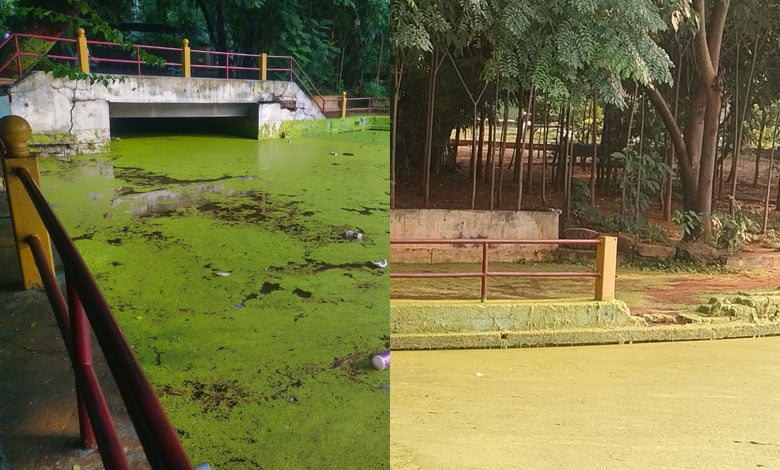 Hyderabad’s Oldest Nizam-Era Man-Made Pond Awaits Revival