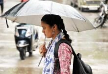 Rain Forecast for 4 Days in Telangana, Yellow Alert Issued