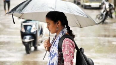 Telangana Anticipates Heavy Rainfall for Three Days: Yellow Alert Issued