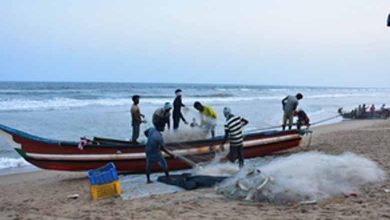 Sri Lankan Navy arrests 17 TN fishermen; families block Madurai-Rameswaram highwaySri Lankan Navy arrests 17 TN fishermen; families block Madurai-Rameswaram highway