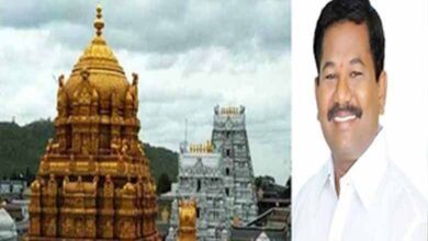 Irregularities in Tirumala will be probed, says Andhra Minister