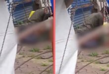 Woman Raped in Broad Daylight on Road in Ujjain, Disturbing Video Surfaces on Social Media