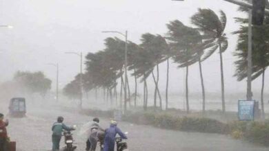 Telangana: Two Cars Washed Away in Kodad, One Person Dead