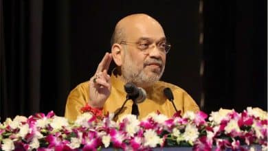 Sardar Patel deprived of Bharat Ratna for long, efforts made to erase his legacy: Amit Shah