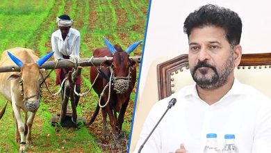 Farmers to Receive ₹500 Bonus per Quintal as Government Sets Up Over 7,000 Procurement Centers