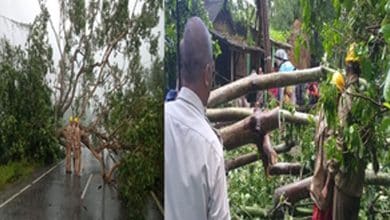 Cyclone Dana aftermath: Relief, restoration work in Odisha underway on war footing