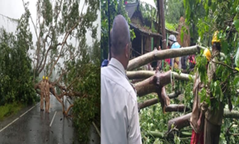 Cyclone Dana aftermath: Relief, restoration work in Odisha underway on war footing