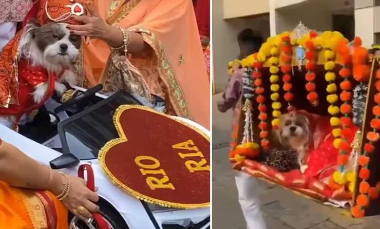 Groom Becomes a Dog: Bride Escapes in a Palanquin, Netizens React to Wedding Photoshoot, Saying – "Kalyug at Its Peak!"