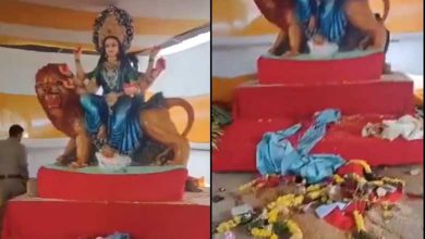 Durga idol vandalised in Hyderabad's Exhibition Grounds