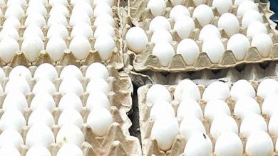 Bangladesh slashes egg import duties, from 25 to 5 percent