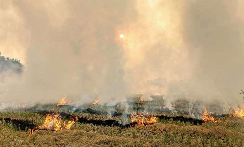 192 farmers booked for ‘burning stubble’ in Haryana