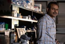 Indian-origin scientist discovers protein function that may treat age-related diseases