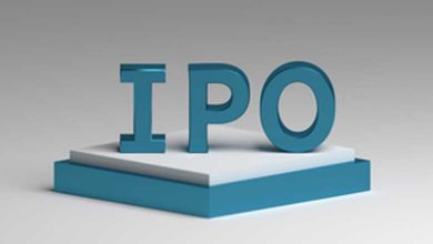 India’s primary market on remarkable growth trajectory fuelled by IPO surge