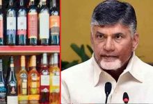 CM Chandrababu Warns TDP Representatives Against Interference in Sand and Liquor Business