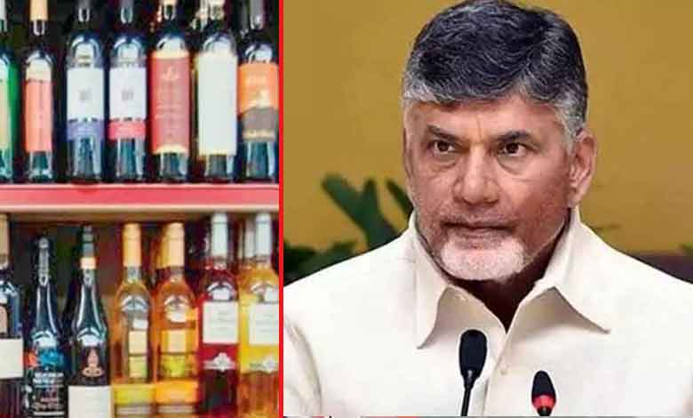 CM Chandrababu Warns TDP Representatives Against Interference in Sand and Liquor Business