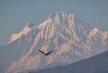 870 climbers allowed to scale 37 peaks in Nepal