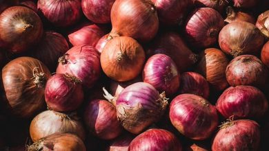 Onion prices likely to dip in Delhi as 'Kanda Express' on way