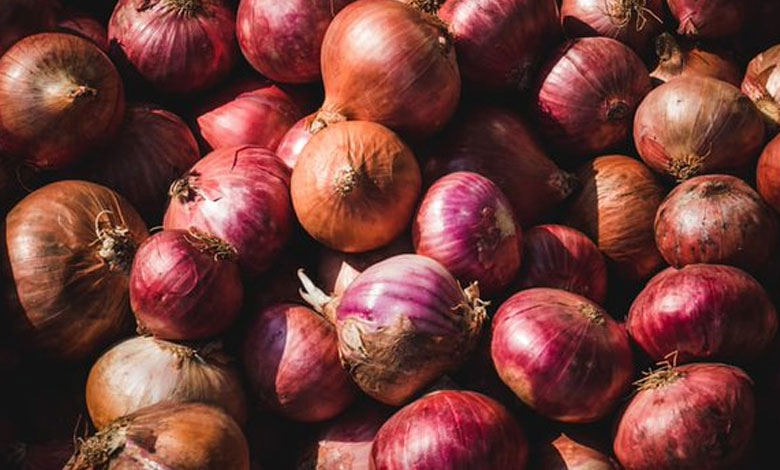 Onion prices likely to dip in Delhi as 'Kanda Express' on way