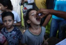 WHO delivers supplies for 2nd phase of polio vaccination campaign in Gaza: UN