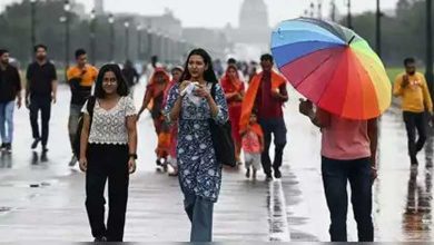 2024 monsoon season ends with 7.6% more rainfall than normal: IMD