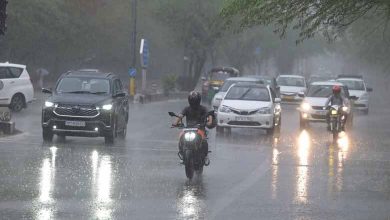 Telangana News | Light to rain likely on