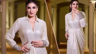 Raveena Tandon glows as she flaunts hourglass body in metallic gown