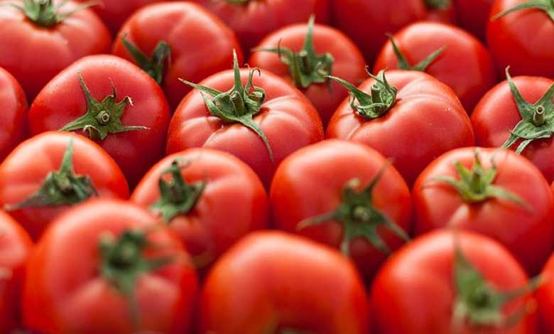 Centre starts selling tomatoes at subsidised rate of Rs 65/kg in Delhi