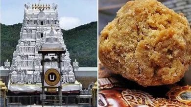 AP Government Halts SIT Investigation in Tirumala Laddu Case