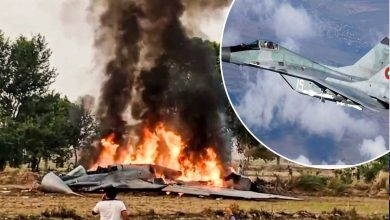 IAF's MiG-29 jet crashes near Agra, pilot ejects safely; Court of Inquiry ordered