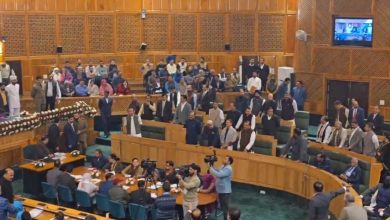 Commotion in J&K Assembly, CM says MLA’s private resolution on Article 370 doesn't stand